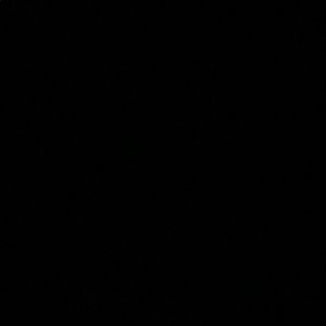 Meet your Posher, Bricen